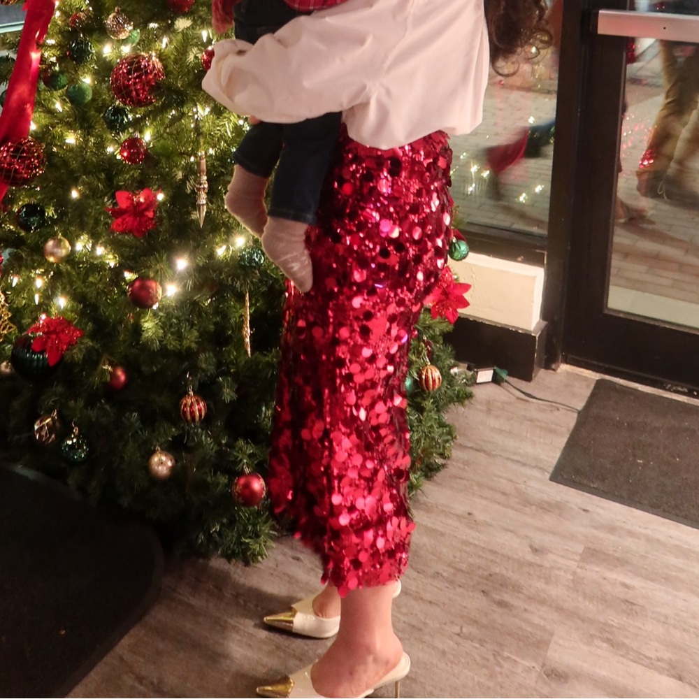 Red Sequin Skirt
